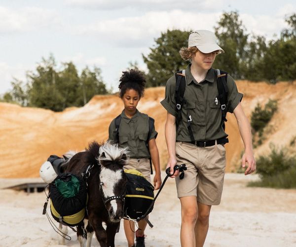 Path leading towards a bright horizon, symbolizing a journey.